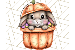 Halloween Bunny Clipart, Cute Bunnies in Costumes PNG Product Image 5