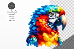 Parrot clipart, Tropical bird clipart, Bird clipart Product Image 1