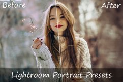 186 Portrait Lightroom Presets Product Image 1