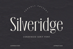 Silveridge - Serif Font Product Image 1