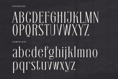 Silveridge - Serif Font Product Image 7