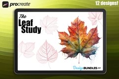 Procreate leaf design kit Product Image 1