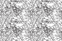 Line art botanical seamless floral pattern with chamomile Product Image 1