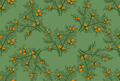 Botanical floral seamless pattern with chamomile flowers Product Image 1