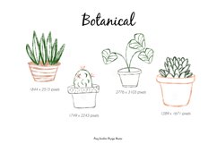 18 Hand Drawn Minimalist Botanical Abstract Clip Art Bundle Product Image 4