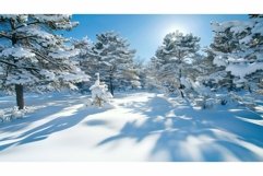 cold sunny snowy trees Product Image 1