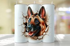Belgian Malinois Peeking from the Cracked wall Tumbler Wrap Product Image 1