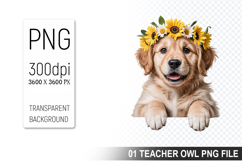 Cute Floral Dog, Animal Sublimation Clipart PNG Product Image 1