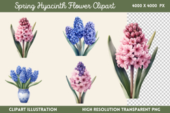 Spring Hyacinth Flower Clipart PNG Product Image 1