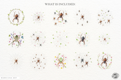 Spring Spider Webs Clipart Product Image 5