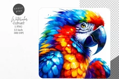 Parrot clipart, Tropical bird clipart, Bird clipart Product Image 1