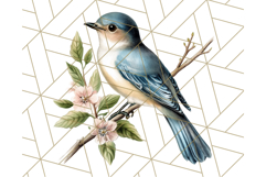 Vintage Song Bird Clipart PNG, Botanical Bird Art Clip Art Product Image 2