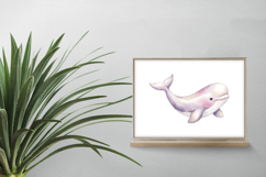 Cute Beluga Whale White Ocean Marine Mammal PNG Summer Product Image 2