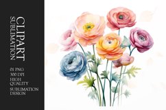 Watercolor ranunculus flower sublimation clipart Product Image 1