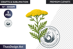 Flower Clipart PNG, Botanical Illustration Floral graphic Product Image 1