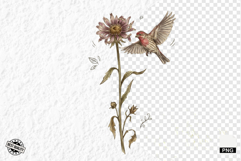 1920 Botanical Summer Wildflowers Clipart Product Image 1