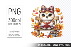 Teacher Owl Clipart PNG, Cute Owl, Digital Download File Product Image 1