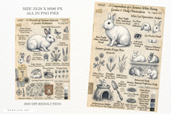 Summer White Bunny Garden Junk Pages Product Image 3
