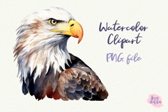 American Bald Eagle PNG Sublimation. Presidents day clipart Product Image 2