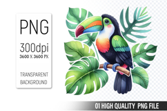Summer Clipart PNG Bundle, Beach Clipart Design Product Image 8