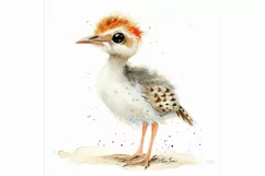 Cute Woodcock Bird Baby Watercolor Handmade illustration Product Image 3