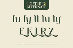 Ventura - Serif Font Product Image 3