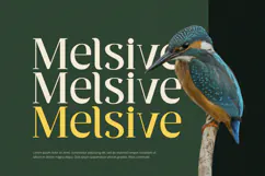 Ventura - Serif Font Product Image 4