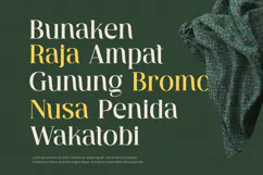 Ventura - Serif Font Product Image 5