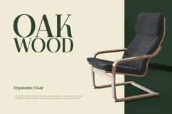 Ventura - Serif Font Product Image 6