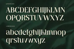 Ventura - Serif Font Product Image 8