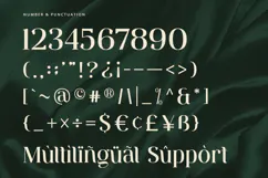 Ventura - Serif Font Product Image 9