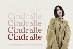 Red Carpet - Serif Font Product Image 4