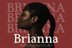 Red Carpet - Serif Font Product Image 5