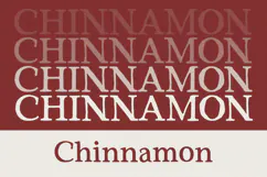 Red Carpet - Serif Font Product Image 6