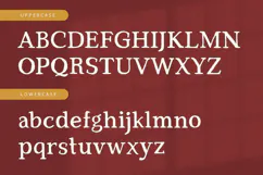 Red Carpet - Serif Font Product Image 8