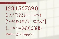 Red Carpet - Serif Font Product Image 9