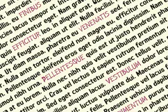 Black Thorn - Font Duo Product Image 7