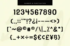 Black Thorn - Font Duo Product Image 10