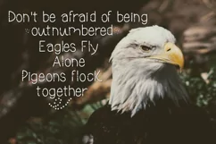 Heroes, A Patriotic Font - Free Font of The Week Product Image 2