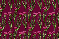 Botanical floral seamless pattern with cornflowers bouquet Product Image 1