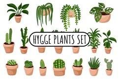 Hygge Plants Set Product Image 1