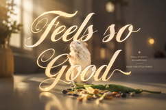 Fabulous Product Image 8