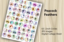 Digital Collage Sheet - Peacock Feathers Product Image 3