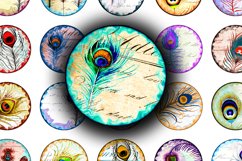 Digital Collage Sheet - Peacock Feathers Product Image 1