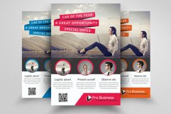 Small Business Consultant Flyer Product Image 1