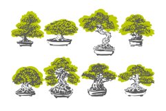 Bonsai tree japanese hand drawn illustration set Product Image 2