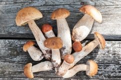 Chic porcini and boletus mushrooms on the table Product Image 1