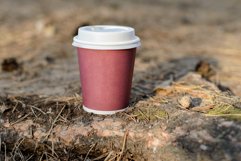 Coffee in a paper Cup Product Image 1