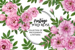 Vintage wild rose collection Product Image 1