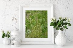 25pc Back To Nature Collection 2, Genuine Tree Bark Photos Product Image 2